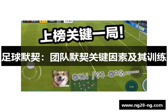 足球默契：团队默契关键因素及其训练